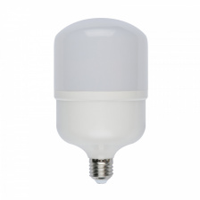 Лампочка светодиодная  LED-M80-30W/DW/E27/FR/S картон