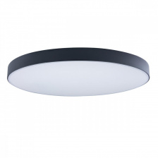 Потолочный светильник Axel 10002/48 Black