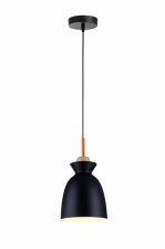 Подвесной светильник Marylou TL1202H-01BK