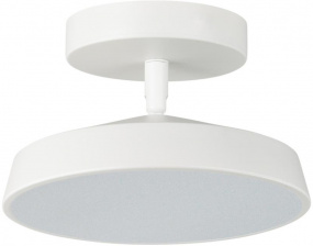 Потолочный светильник Mira White 7655/12L