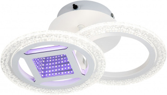 Потолочный светильник MIRA 10214/2LED