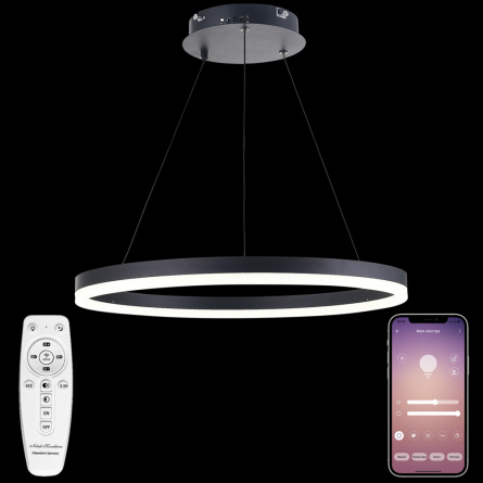 Подвесной светильник LED LIGHT LED LAMPS 81295 фото 1