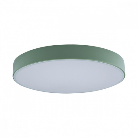 Потолочный светильник Axel 10002/24 Green фото 1