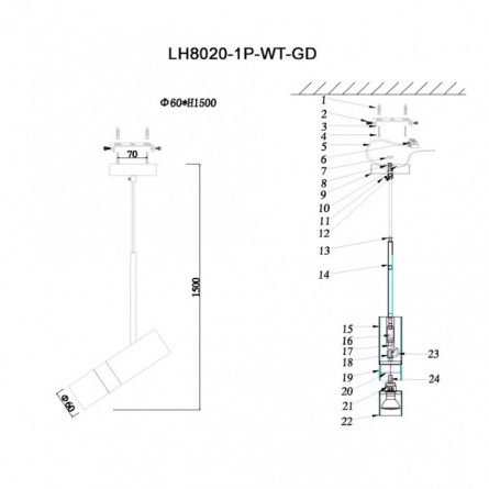 Подвесной светильник Sauris LH8020/1P-WT-GD фото 3
