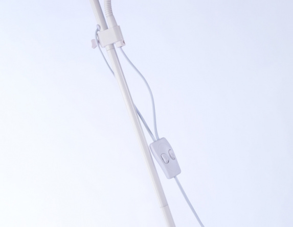 Торшер TRADITIONAL TR97622 фото 2