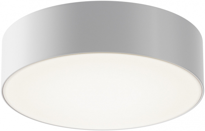 Потолочный светильник уличный Zon IP O431CL-L30W4K фото 1