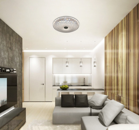 Потолочный светильник LED LAMPS LED LAMPS 81072 фото 2