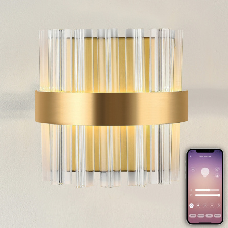 Настенный светильник Royalton LED LAMPS 81125/1W фото 1
