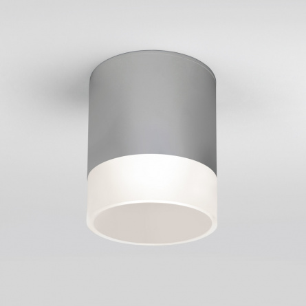 Потолочный светильник уличный Light LED 35140/H серый фото 1