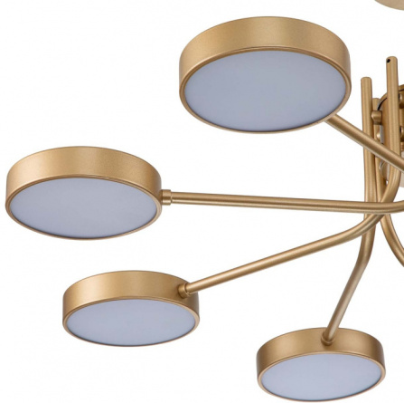Потолочная люстра Skylar 10258/8LED фото 3