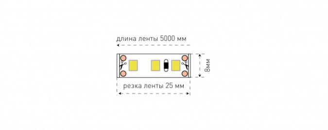 Светодиодная лента  SWG3120-12-9.6-W-65 фото 2