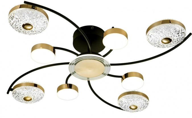 Потолочная люстра Divita 10208/8LED фото 1